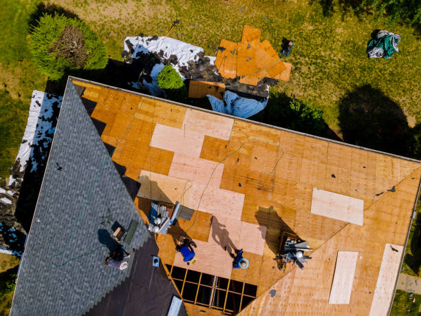 Best Roof Leak Repair  in Madisonville, TN